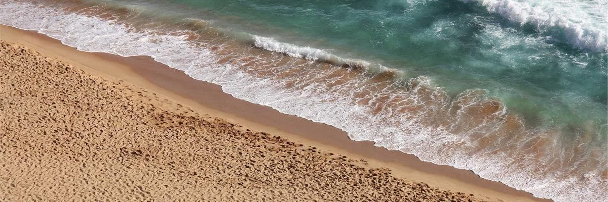 Samsung Electronics Vietnam banner